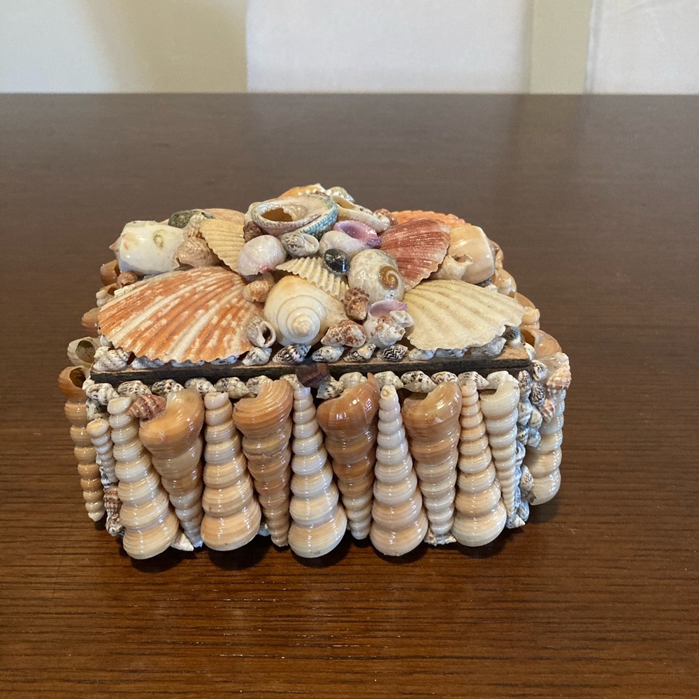 Sea shell Gadget box